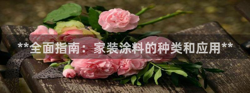 和记Ag：**全面指南：家装涂料的种类和应用**