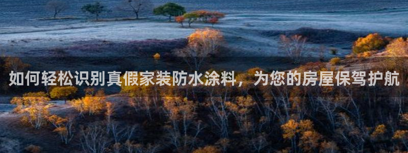 ag和记app：如何轻松识别真假家装防水涂料，为您的房屋保驾护航