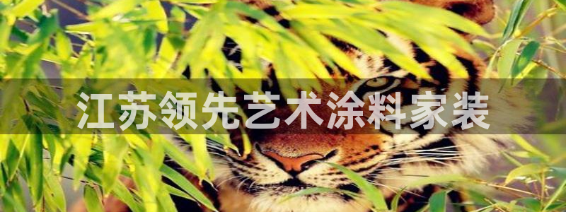 和记h88最新客户端下载：江苏领先艺术涂料家装