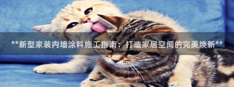 和记平台注册：**新型家装内墙涂料施工指南：打造家居空间的完美焕新**