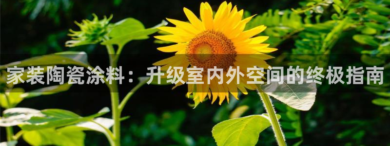和记h8：家装陶瓷涂料：升级室内外空间的终极指南