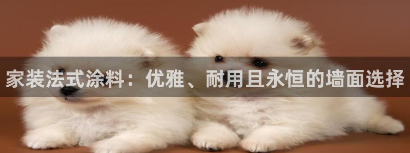 和记网页版：家装法式涂料：优雅、耐用且永恒的墙面选择