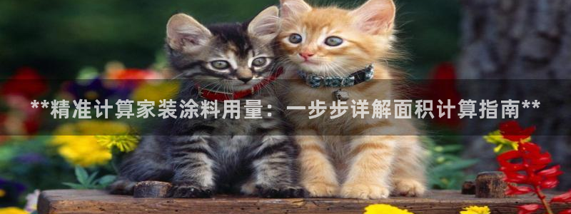 官方和记国际平台登录：**精准计算家装涂料用量：一步步详解面积计算指南**
