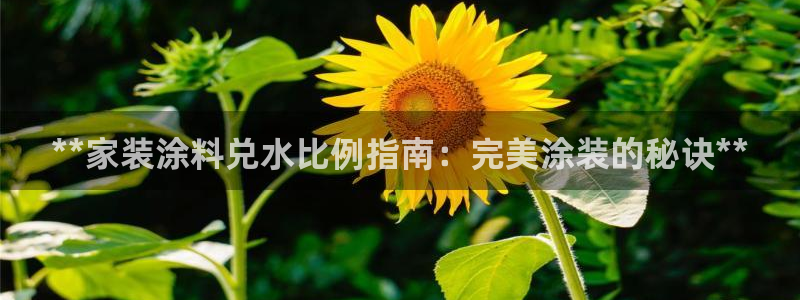 和记官方：**家装涂料兑水比例指南：完美涂装的秘诀**