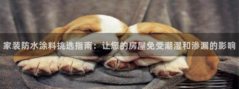和记官网首页：家装防水涂料挑选指南：让您的房屋免受潮湿和渗漏的影响