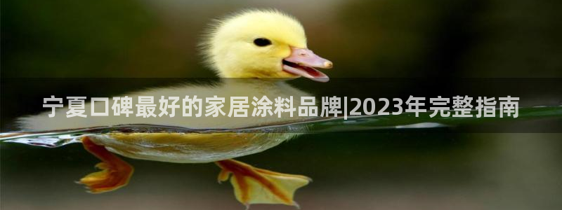 和记H88：宁夏口碑最好的家居涂料品牌|2023年完整指南
