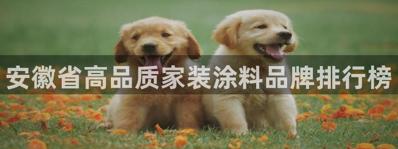 和记paging：安徽省高品质家装涂料品牌排行榜