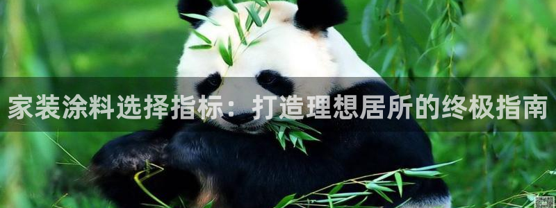 和记h88游戏：家装涂料选择指标：打造理想居所的终极指南