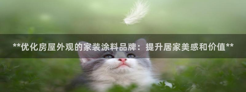 和记 中国首页：**优化房屋外观的家装涂料品牌：提升居家美感和价值**