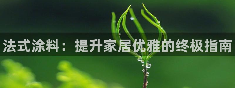 和记网页：法式涂料：提升家居优雅的终极指南