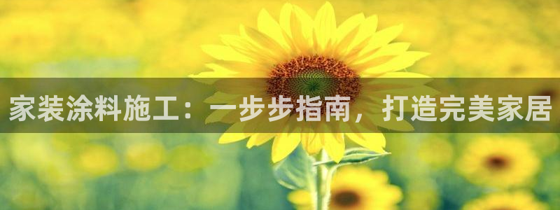 和记广告女主角：家装涂料施工：一步步指南，打造完美家居