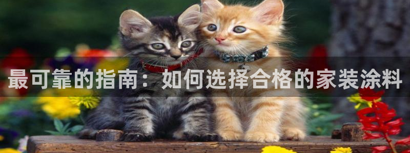 青岛大生和记餐饮管理有限公司：最可靠的指南：如何选择合格的家装涂料