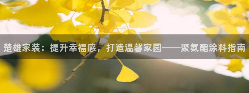 和记电业集团：楚雄家装：提升幸福感，打造温馨家园——聚氨酯涂料指南