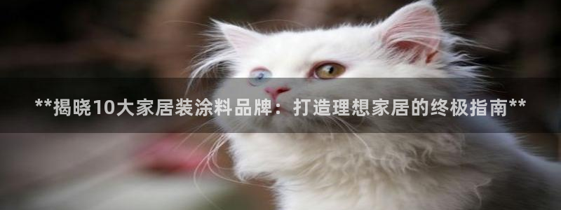 和记 首页：**揭晓10大家居装涂料品牌：打造理想家居的终极指南**