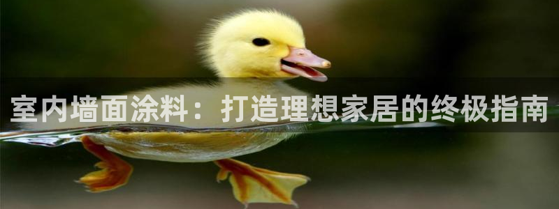 和记娱好网址：室内墙面涂料：打造理想家居的终极指南