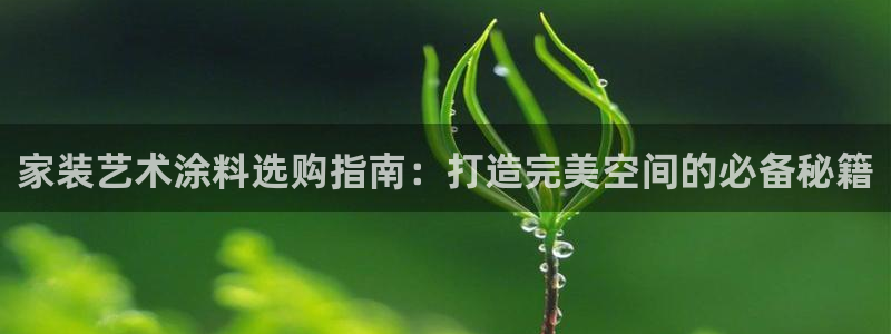 和记 首页：家装艺术涂料选购指南：打造完美空间的必备秘籍