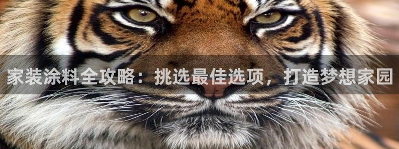 和记官网：家装涂料全攻略：挑选最佳选项，打造梦想家园