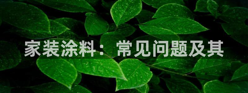 和记官方直营注册导航：家装涂料：常见问题及其