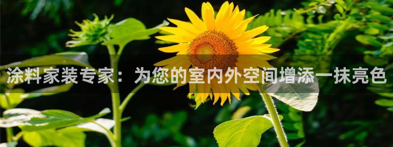 和记国际：涂料家装专家：为您的室内外空间增添一抹亮色