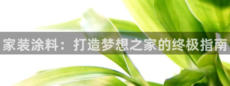 和记pc：家装涂料：打造梦想之家的终极指南