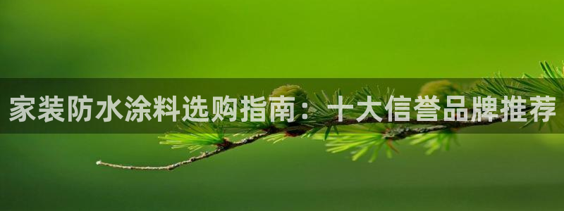 和记ag：家装防水涂料选购指南：十大信誉品牌推荐