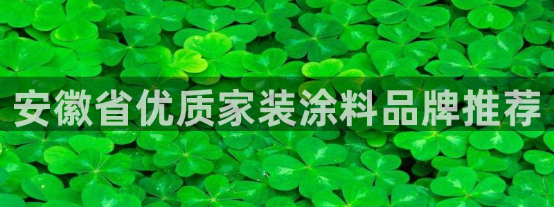 和记国际客服：安徽省优质家装涂料品牌推荐
