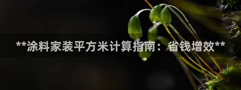 和记app官网