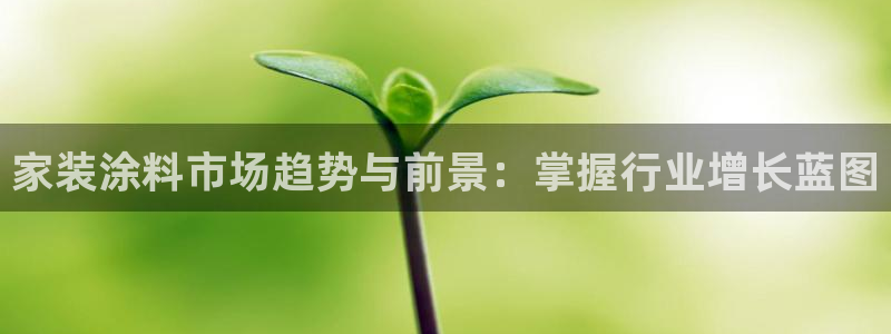 和记官方直营注册：家装涂料市场趋势与前景：掌握行业增长蓝图