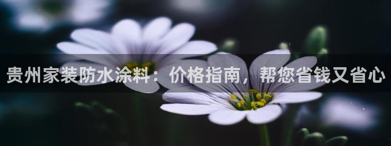和记ag旗舰厅app：贵州家装防水涂料：价格指南，帮您省钱又省心