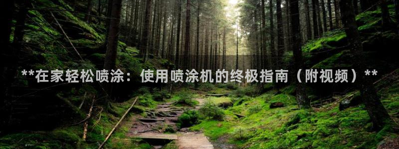 和记5g电讯：**在家轻松喷涂：使用喷涂机的终极指南（附视频）**