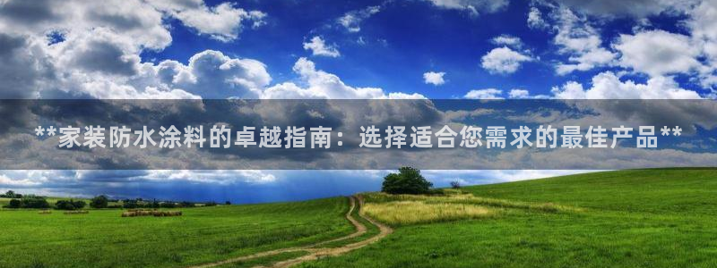和记官方网站：**家装防水涂料的卓越指南：选择适合您需求的最佳产品**