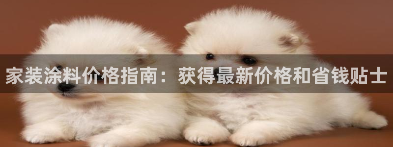 和记广告女主角：家装涂料价格指南：获得最新价格和省钱贴士