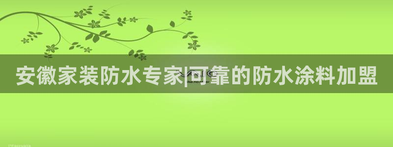 和记平台登录：安徽家装防水专家|可靠的防水涂料加盟