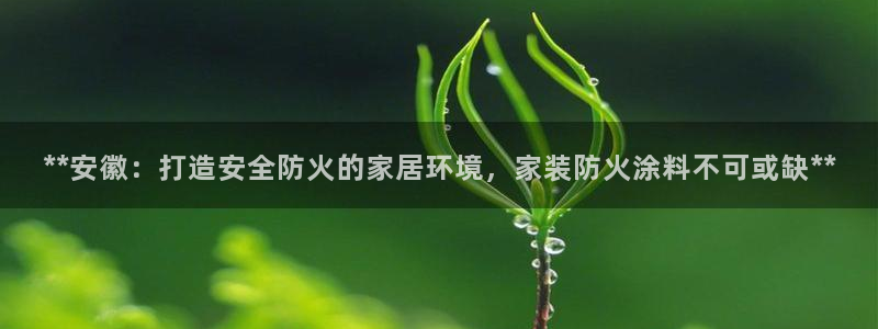 和记国际开户：**安徽：打造安全防火的家居环境，家装防火涂料不可或缺**