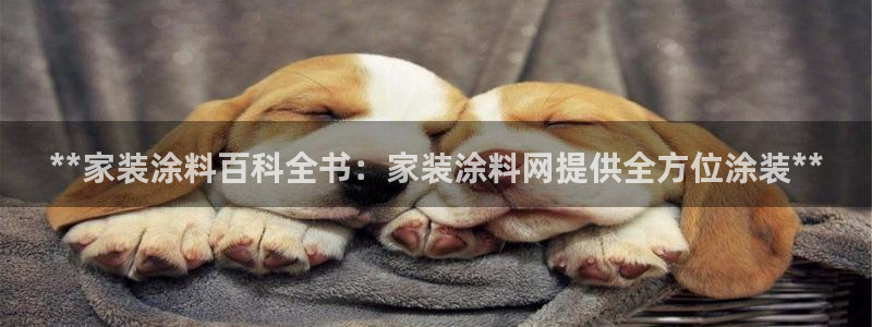 和记平台官方网：**家装涂料百科全书：家装涂料网提供全方位涂装**