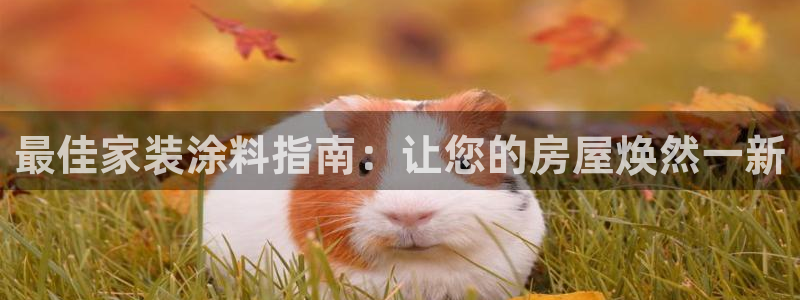 和记国际开户：最佳家装涂料指南：让您的房屋焕然一新
