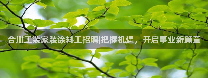 和记ag捕鱼害死多少人：合川工装家装涂料工招聘|把握机遇，开启事业新篇章