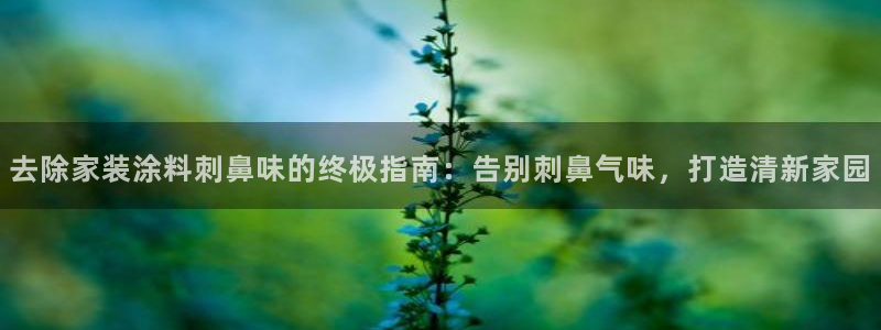 和记国际听：去除家装涂料刺鼻味的终极指南：告别刺鼻气味，打造清新家园