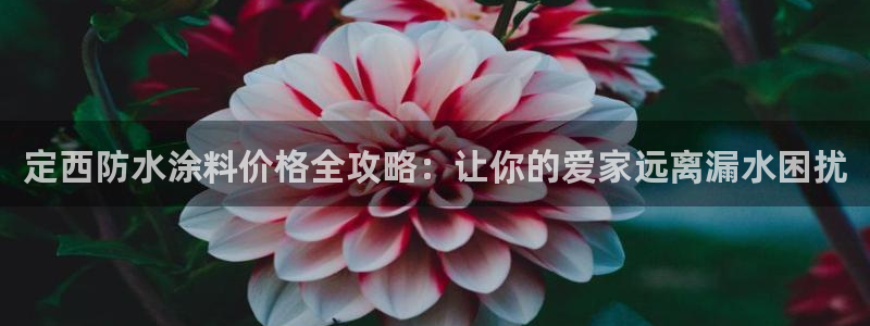 和记平台怎么样：定西防水涂料价格全攻略：让你的爱家远离漏水困扰