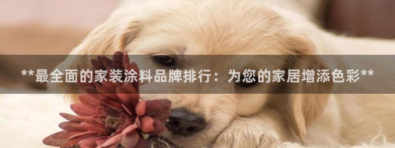 和记AG旗舰：**最全面的家装涂料品牌排行：为您的家居增添色彩**