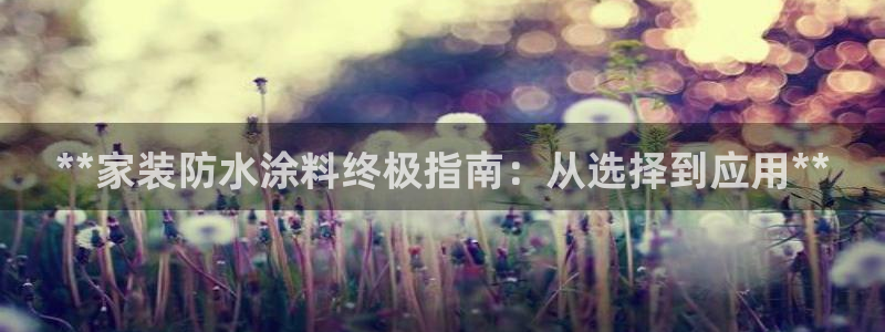 和记下载：**家装防水涂料终极指南：从选择到应用**
