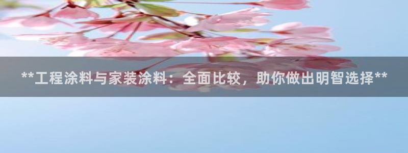 和记 首页：**工程涂料与家装涂料：全面比较，助你做出明智选择**
