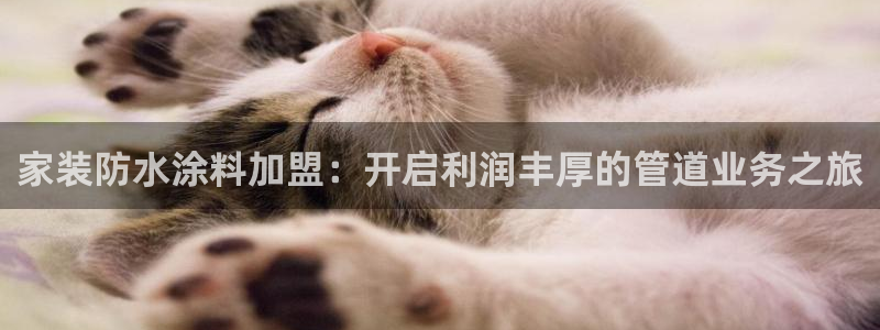 和记旗舰厅：家装防水涂料加盟：开启利润丰厚的管道业务之旅
