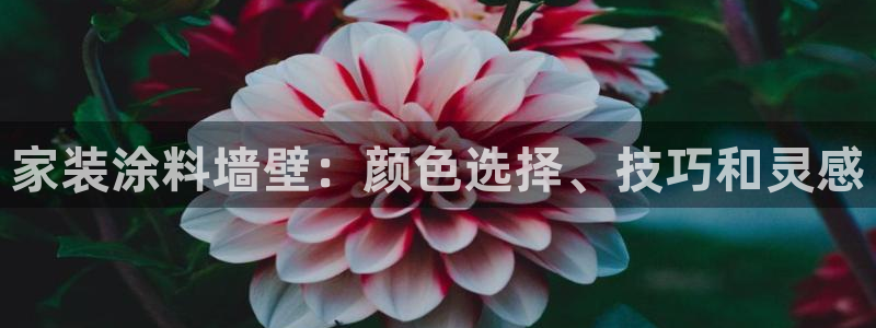 江苏和记数码科技有限公司：家装涂料墙壁：颜色选择、技巧和灵感