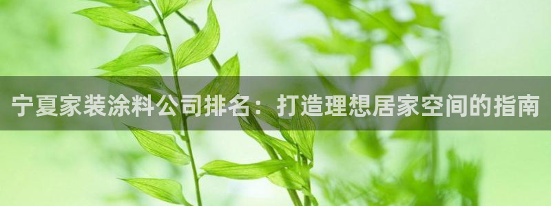 和记 中国官网：宁夏家装涂料公司排名：打造理想居家空间的指南
