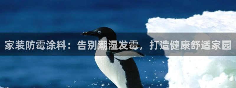 和记官网 公司