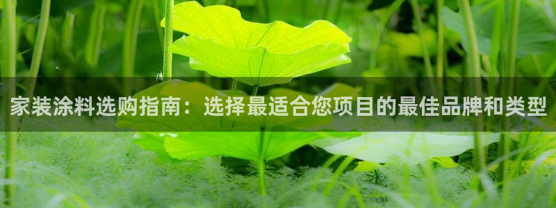 和记官网登陆：家装涂料选购指南：选择最适合您项目的最佳品牌和类型