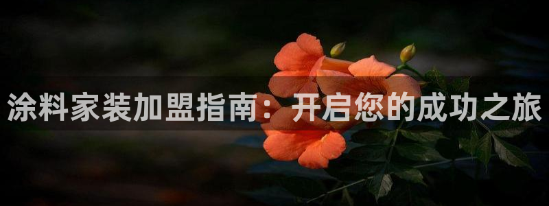 官方和记国际平台登录：涂料家装加盟指南：开启您的成功之旅