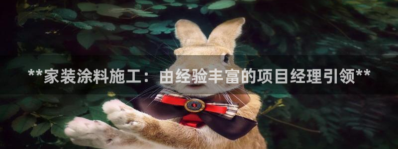 和记国际客服：**家装涂料施工：由经验丰富的项目经理引领**