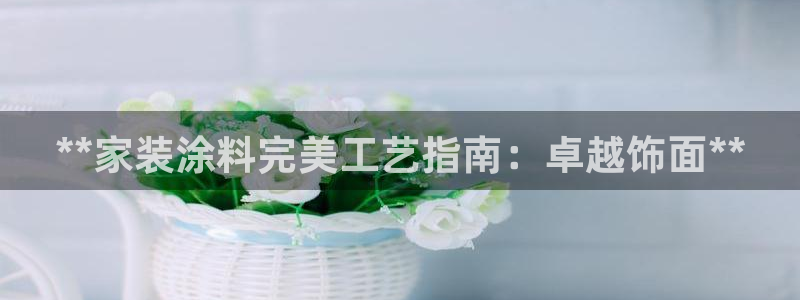 和记平台下载：**家装涂料完美工艺指南：卓越饰面**